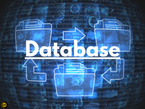 Database management course